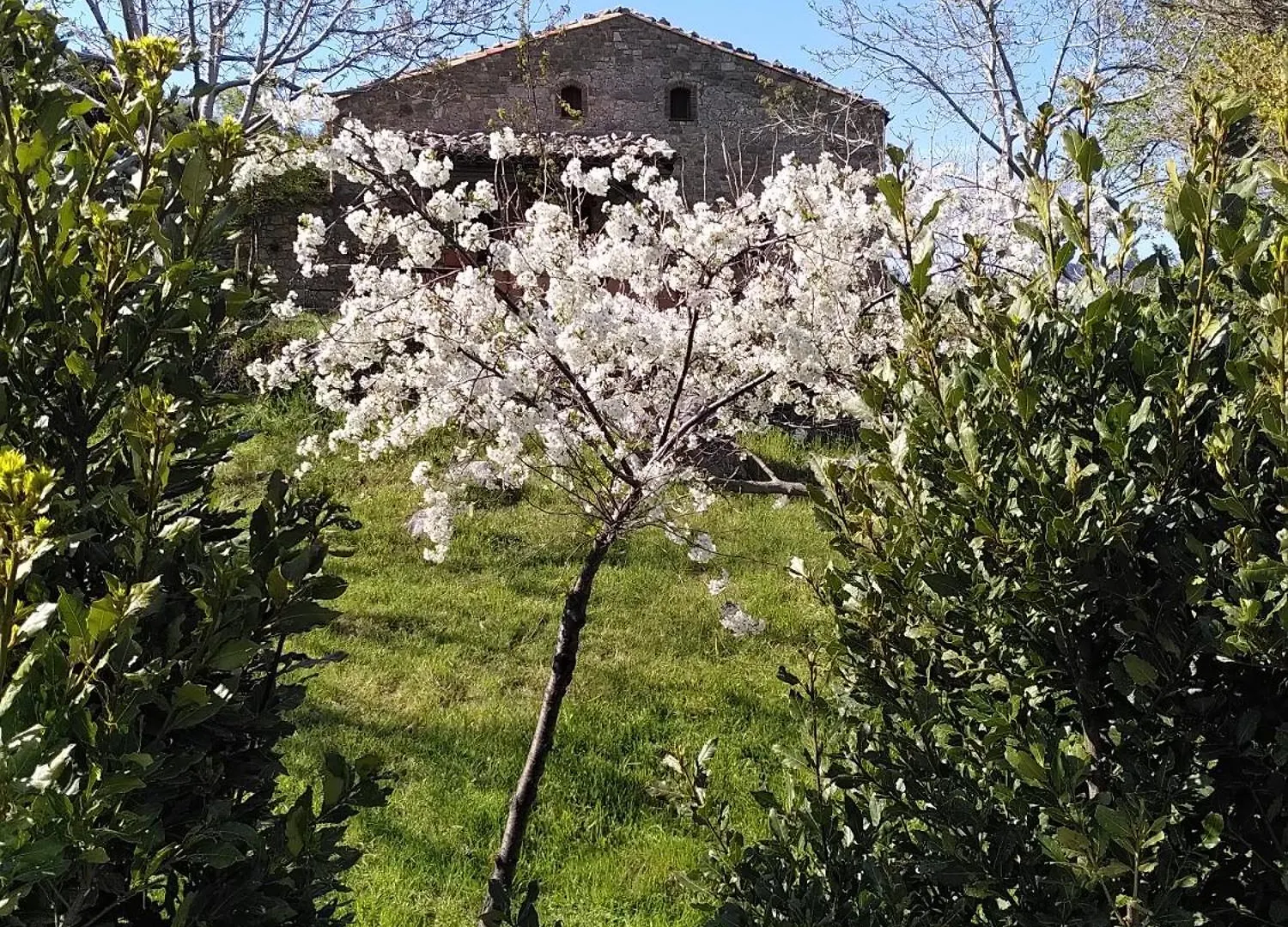 Chalet Casa Delle Volpi Villa Collesano Italy